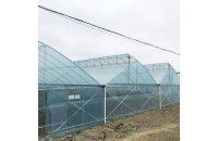 玻璃溫室大棚在種植蔬菜時的準(zhǔn)備工作，你了解嗎？